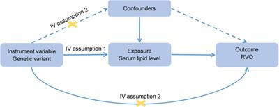 Plasma lipid levels and risk of retinal vascular occlusion: A genetic study using Mendelian randomization
